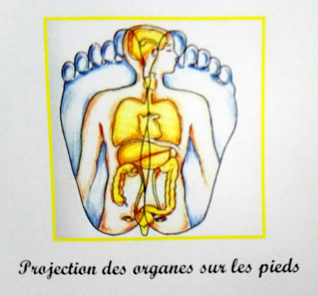 rflexologie plantaire